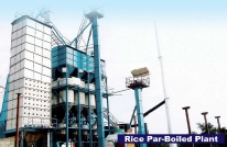 Rice Par-Boiled Plant