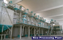 Rice Processing Plant