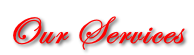 Our Services
